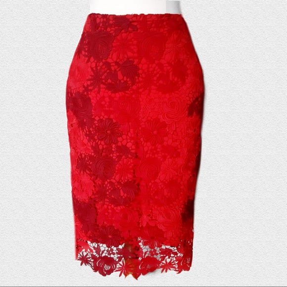 🔥80%OFF🔥SIZE 8 NWT DAVID LAWRENCE Red Zhana Lace Midi Skirt - Picture 6 of 9